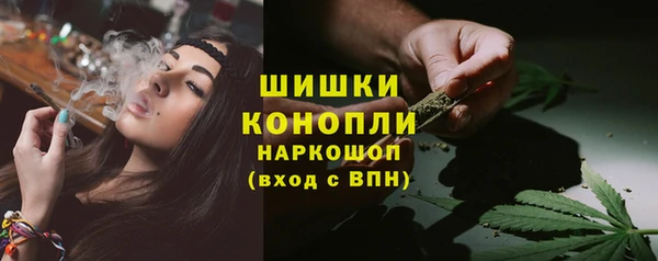 mdpv Новодвинск