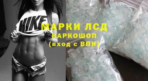 mdpv Новодвинск